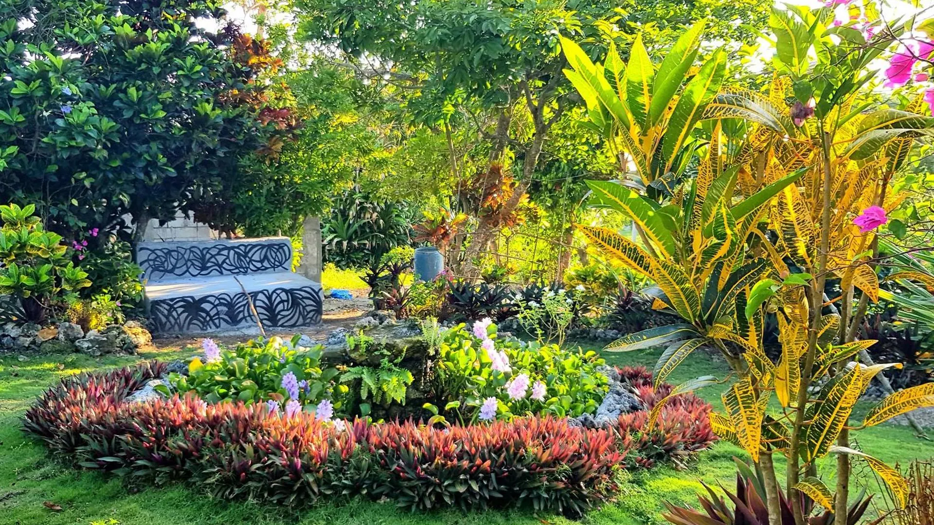 招待所 Coyaba Private Hilltop Jungle Retreat Orange Bay