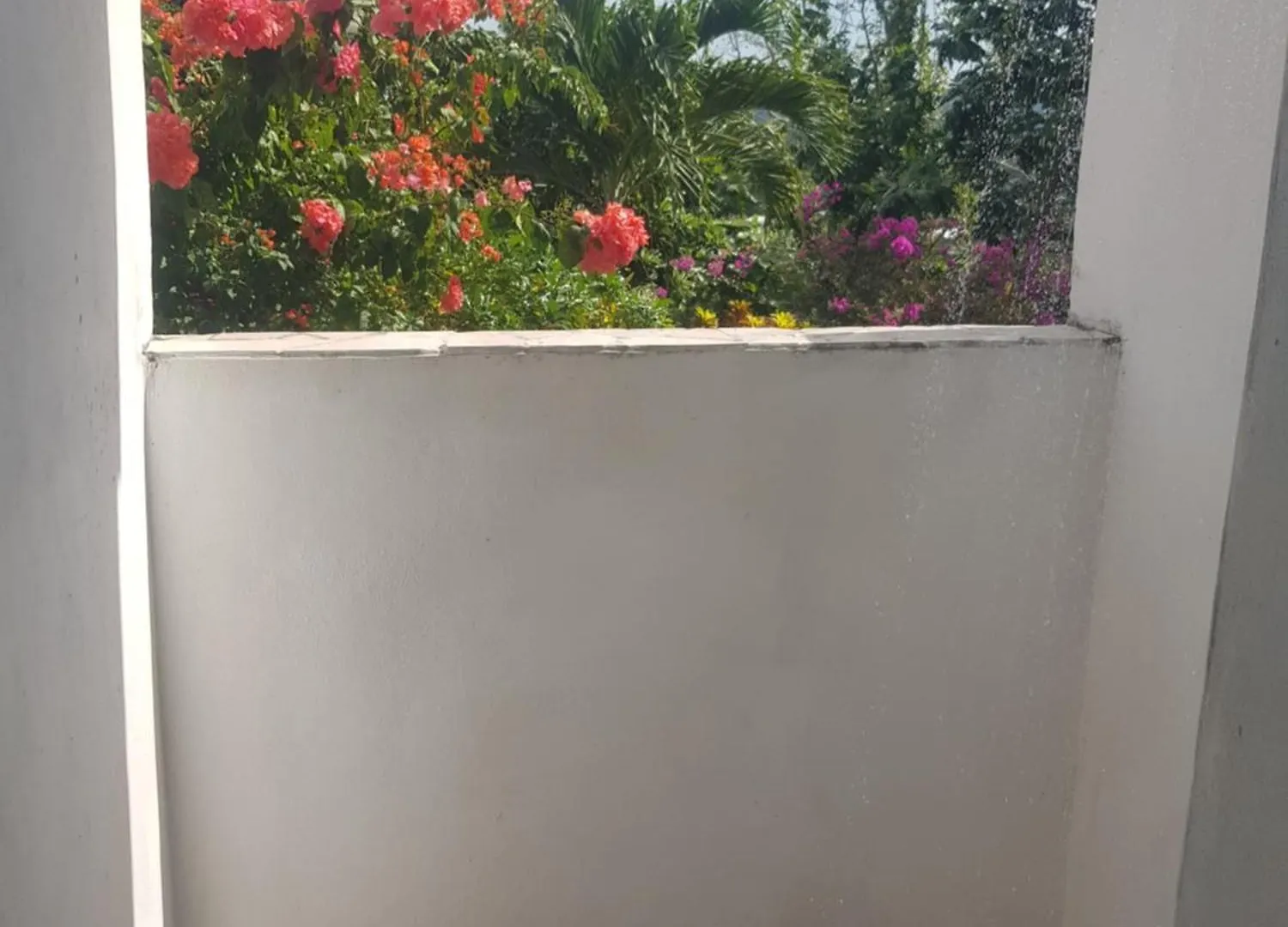 招待所 Coyaba Private Hilltop Jungle Retreat Orange Bay 牙买加